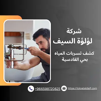 الرئيسية 13 كشف تسربات المياه بحي القادسية