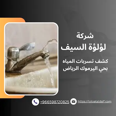 كشف تسربات المياه بحي اليرموك الرياض